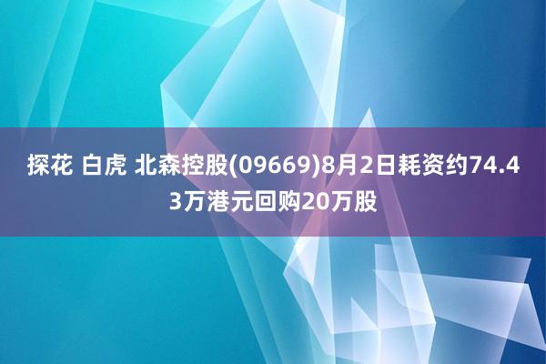 探花 白虎 北森控股(09669)8月2日耗资约74.43万港元回购20万股